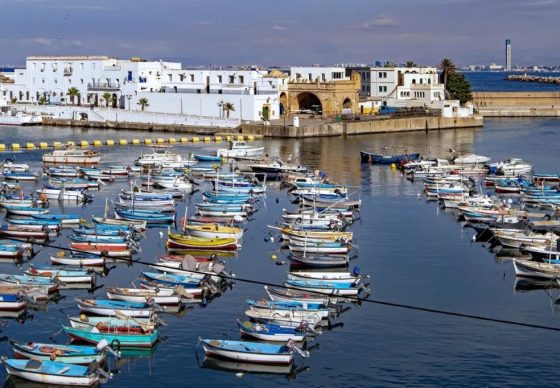 port de peche alger port de peche alger