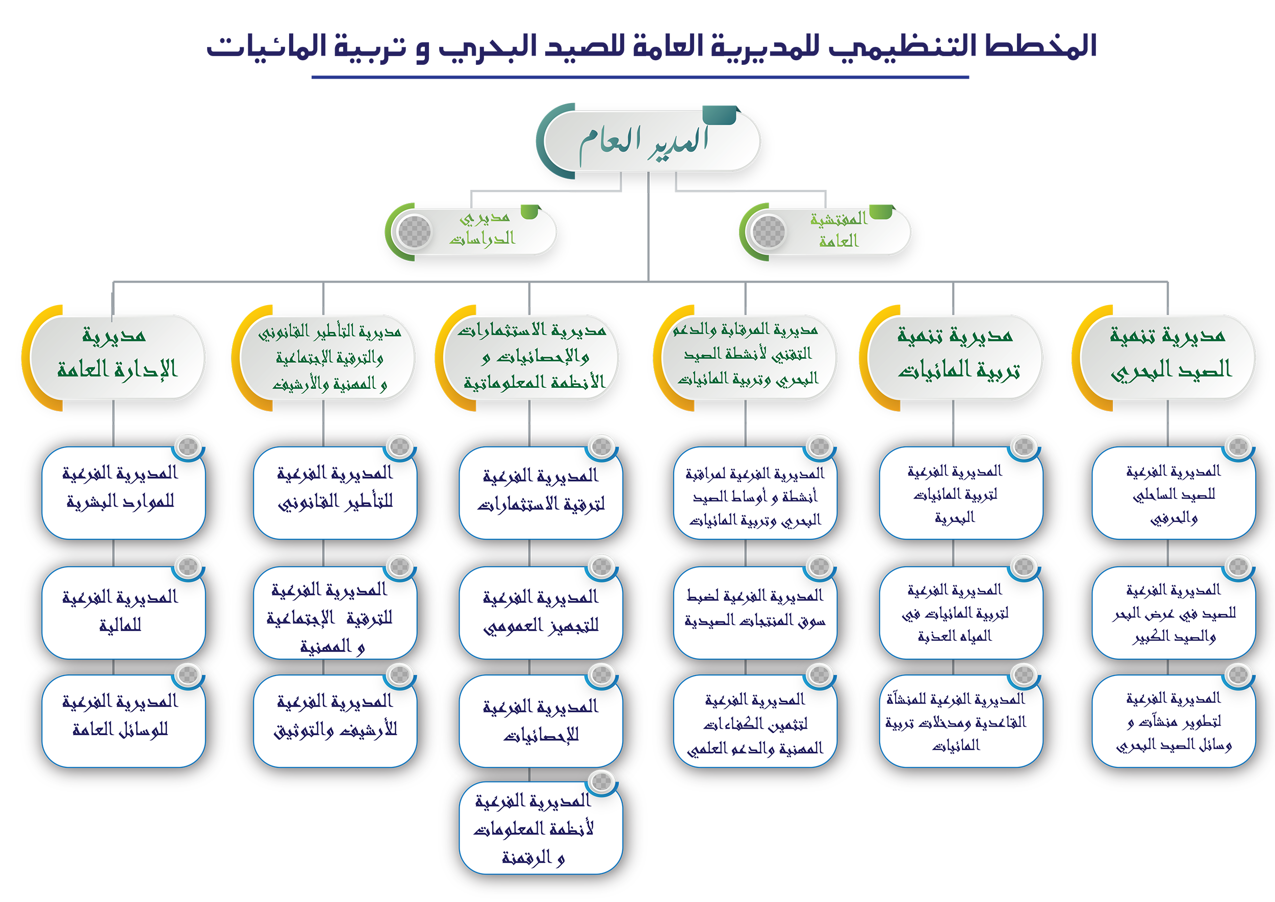 organigrame peche arabe