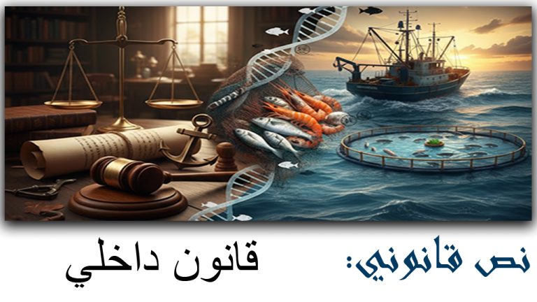 قانون داخلي