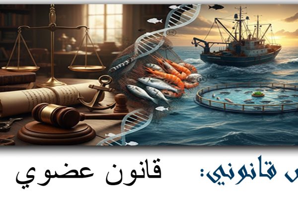 الادارة العمة قانون 1262 Copy Copy